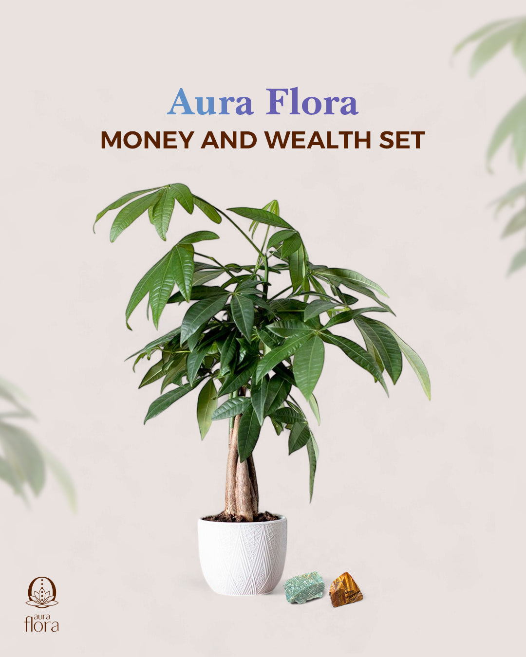 Money and Wealth Set