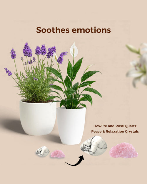 Peace and Relaxation Set