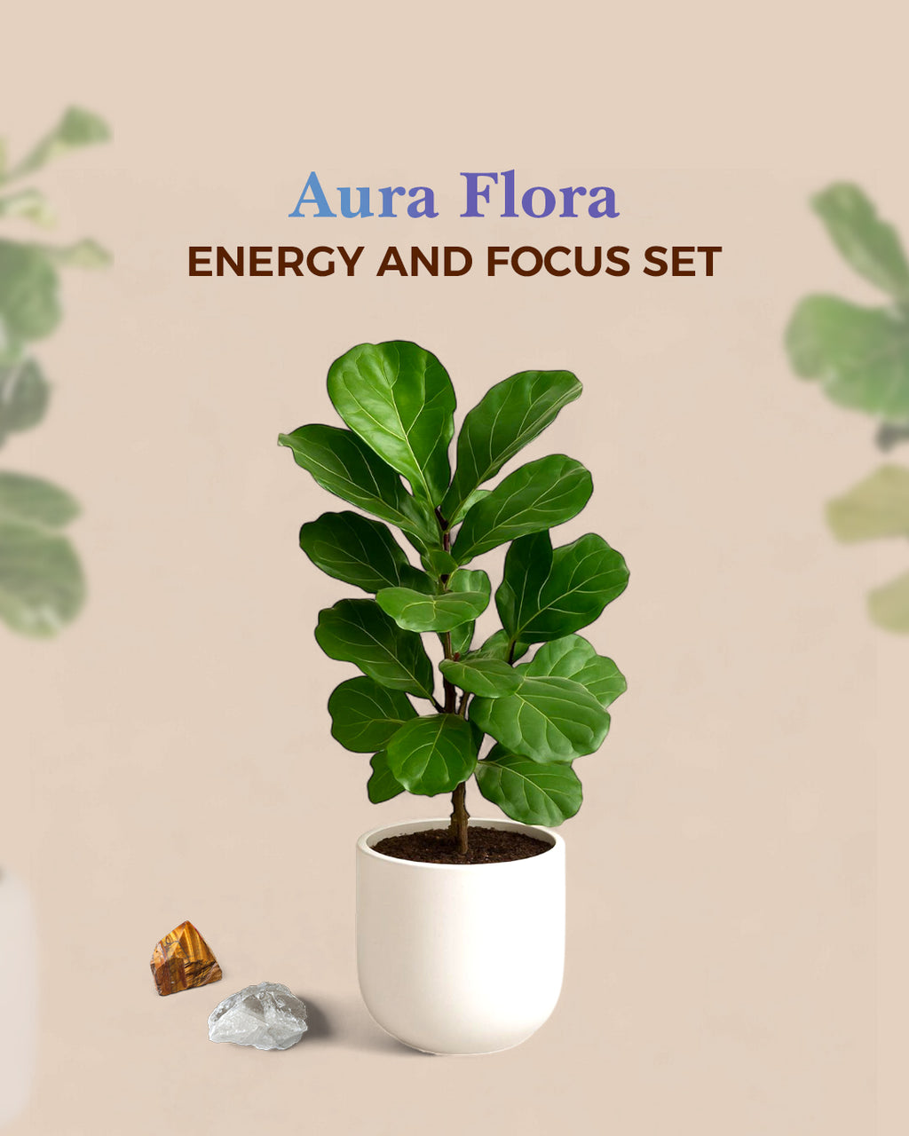 Energy and Focus Set
