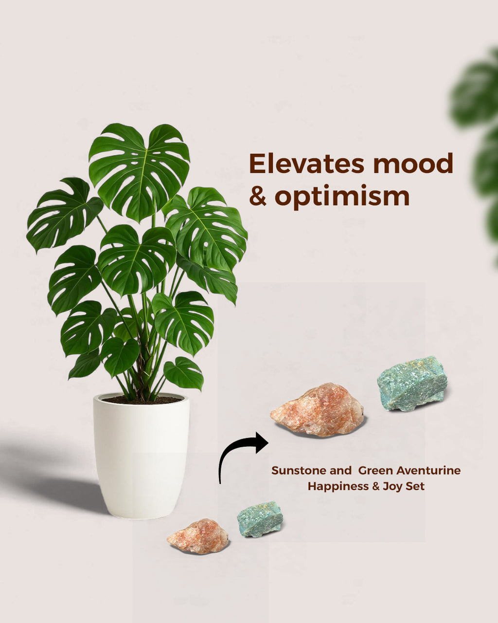 Happiness and Joy Set