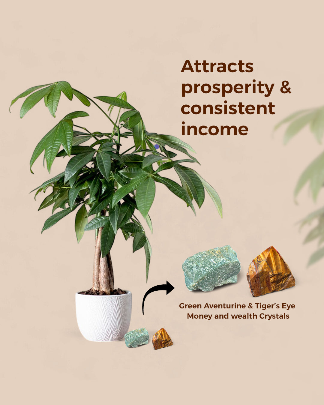 Money and Wealth Set