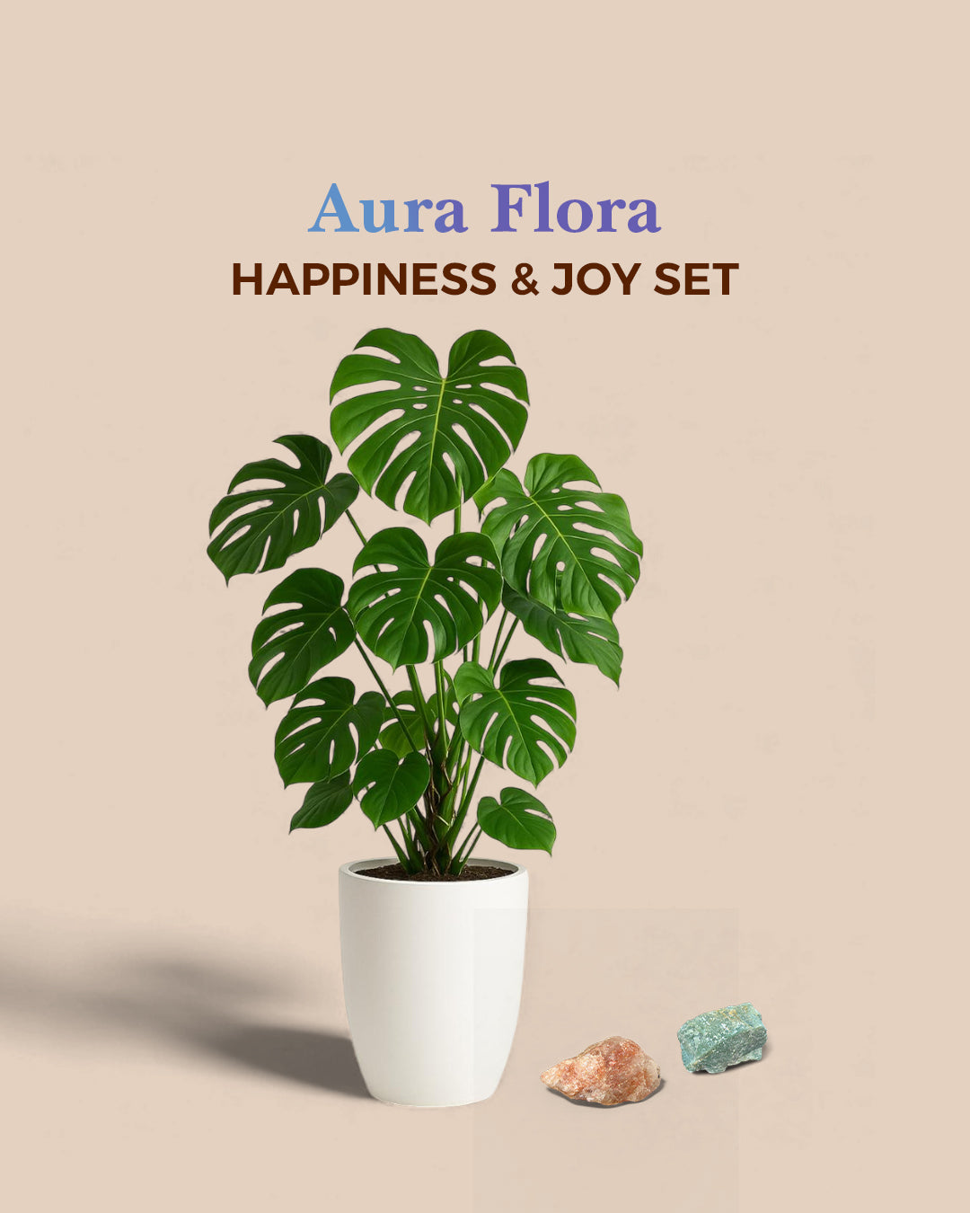 Happiness and Joy Set
