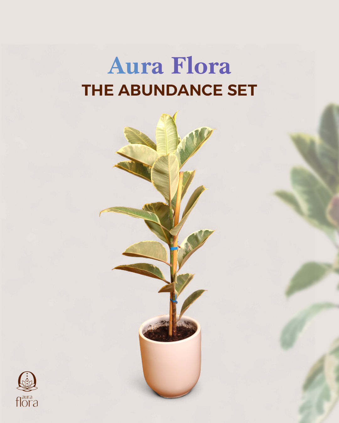 The abundance set