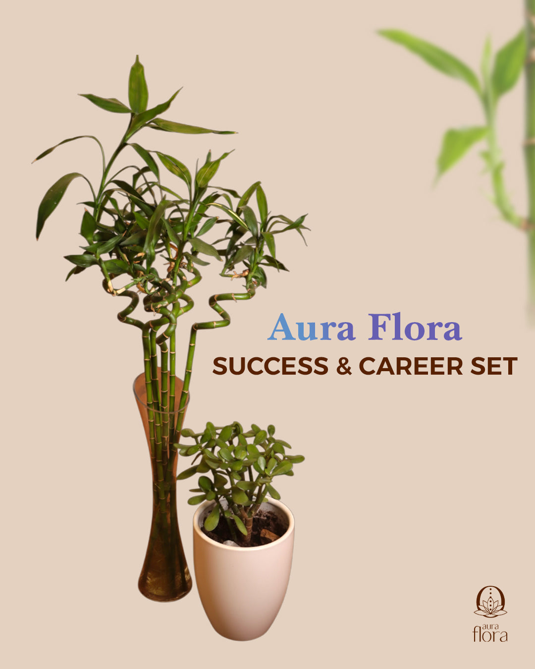 Success & Career Set