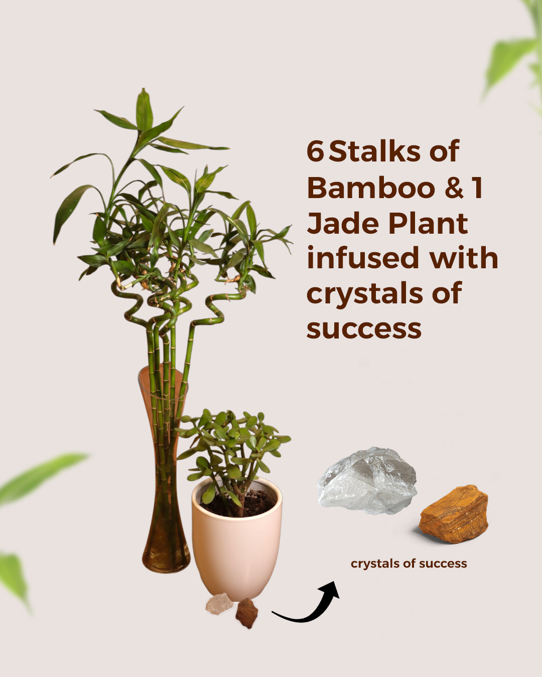 Success & Career Set