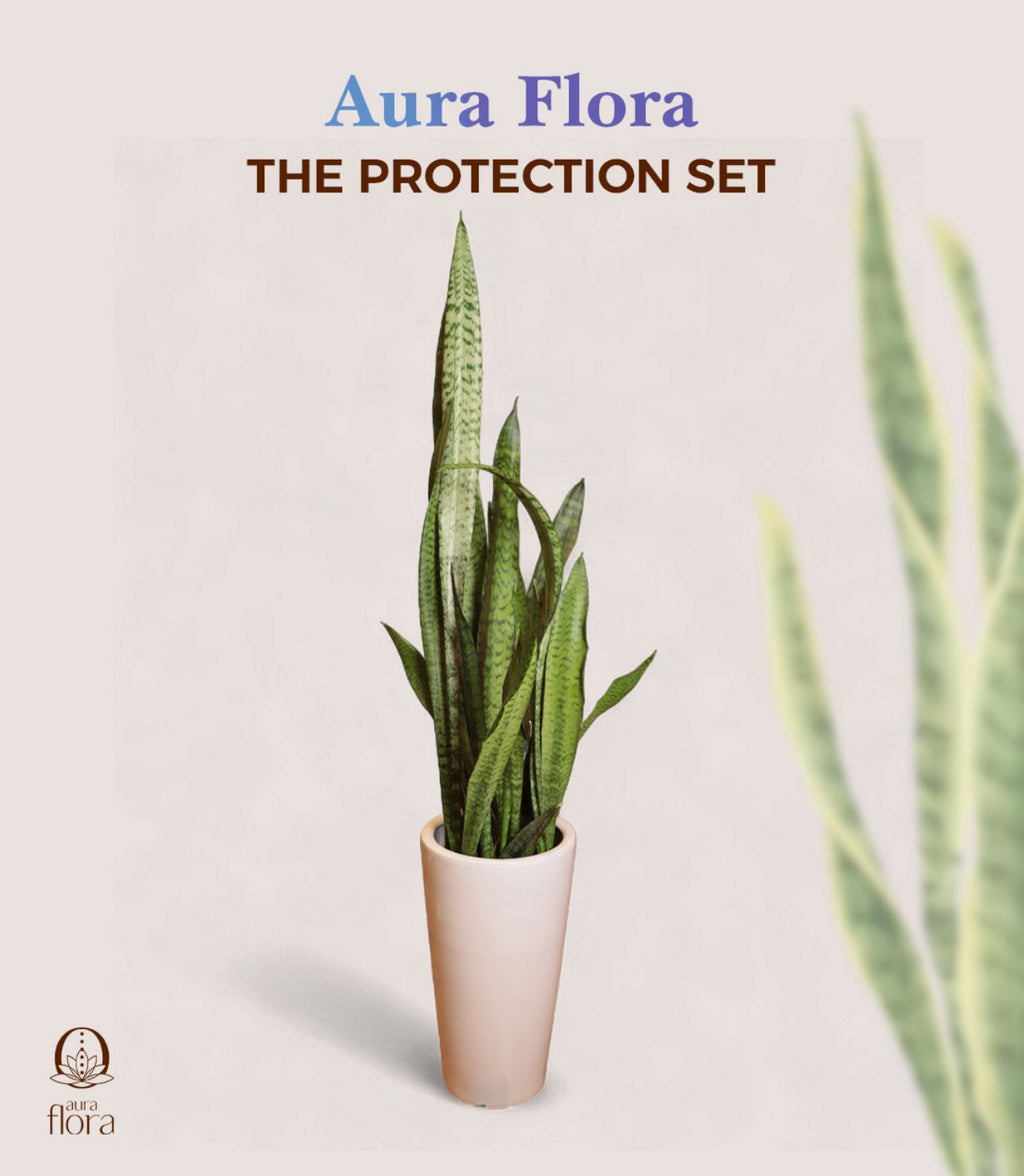 The Protection Set
