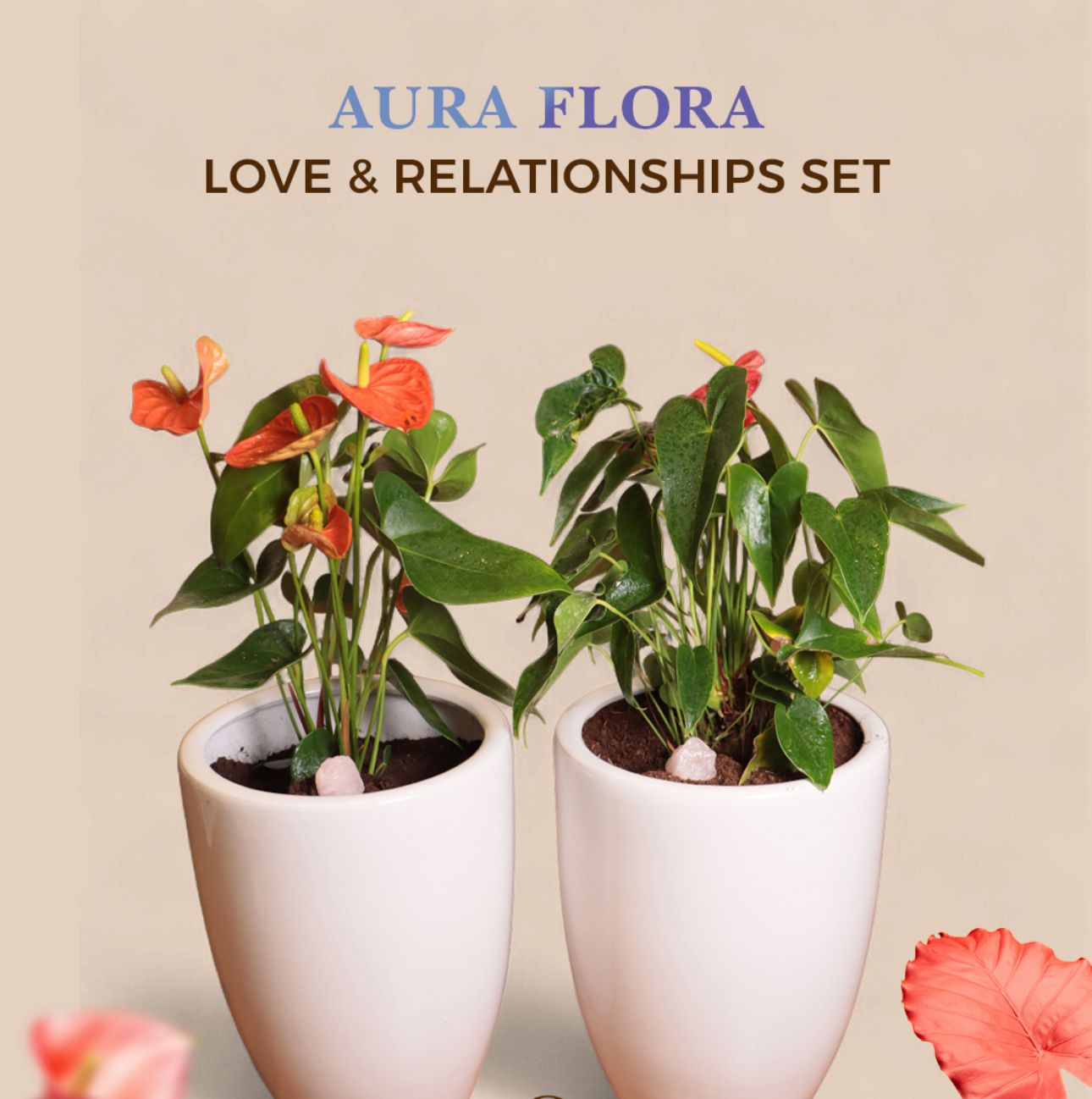 The Love & Relationship Set