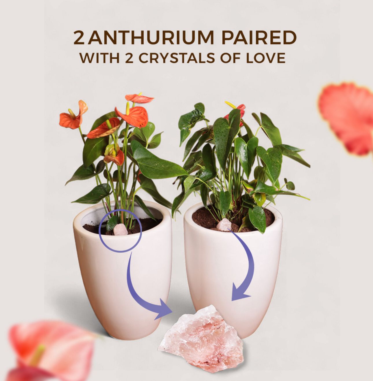 The Love & Relationship Set